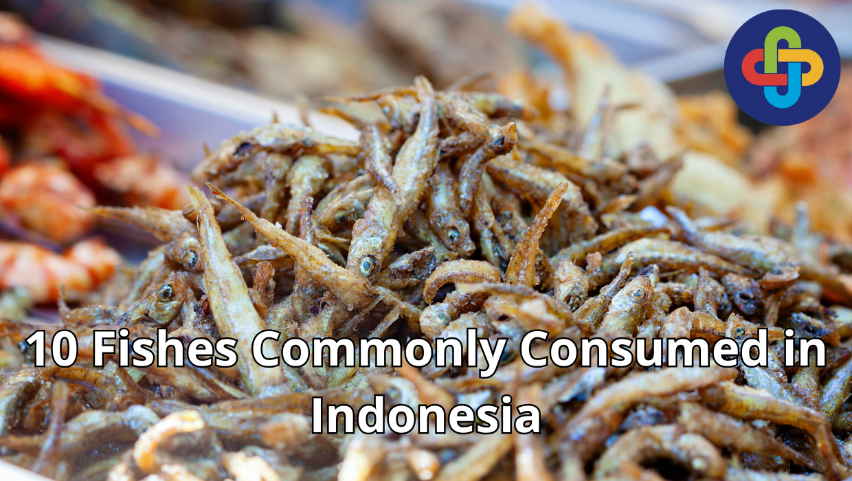 10 Fishes Commonly Consumed in Indonesia